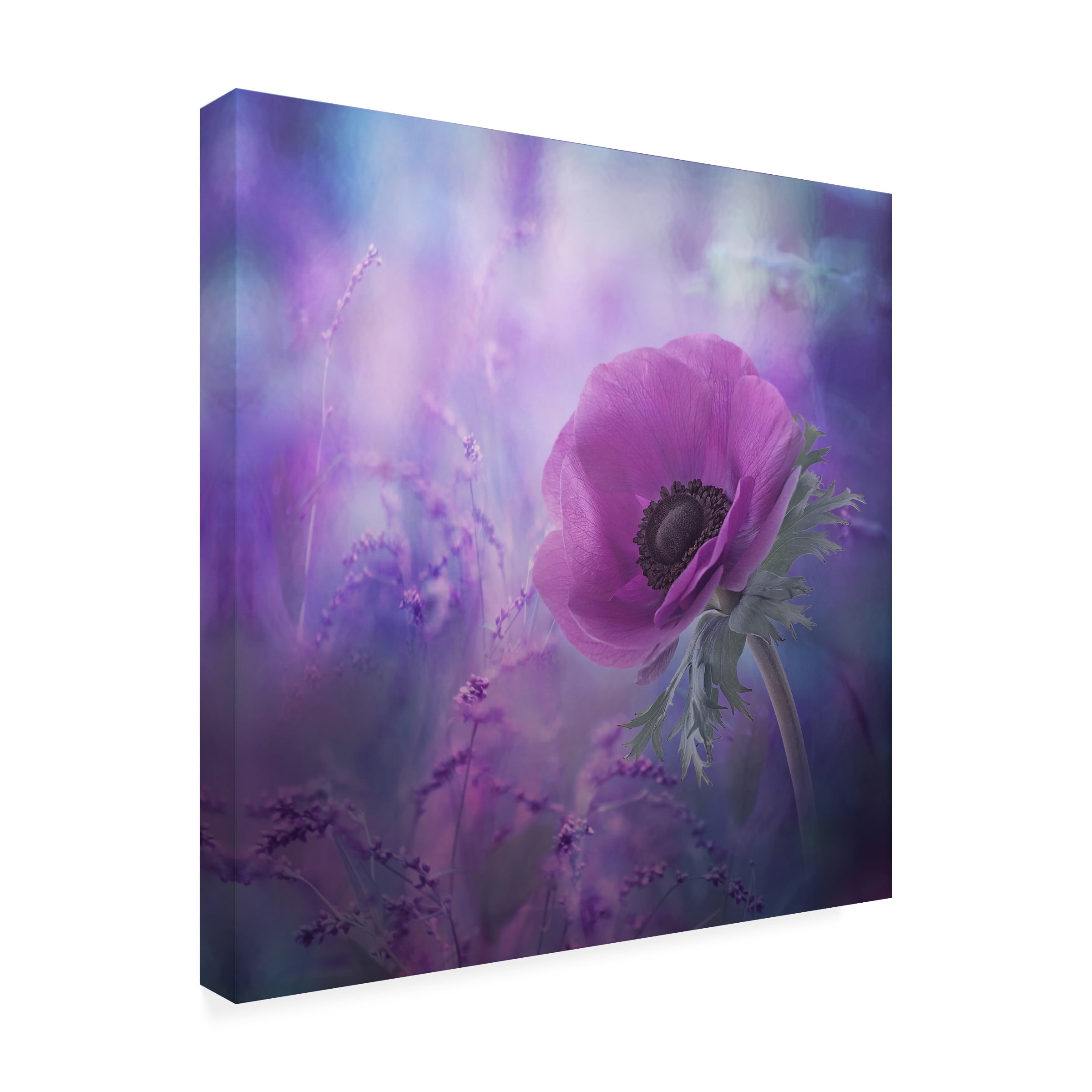 Natalia Simongulashvili 'Ecstasy' Canvas Art