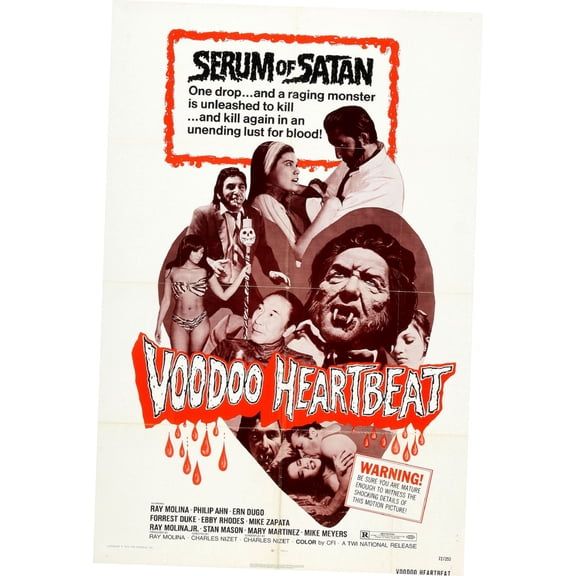 Z Posters Voodoo Heartbeat Movie Poster 11Inx17In Wall Art 11x17 Poster