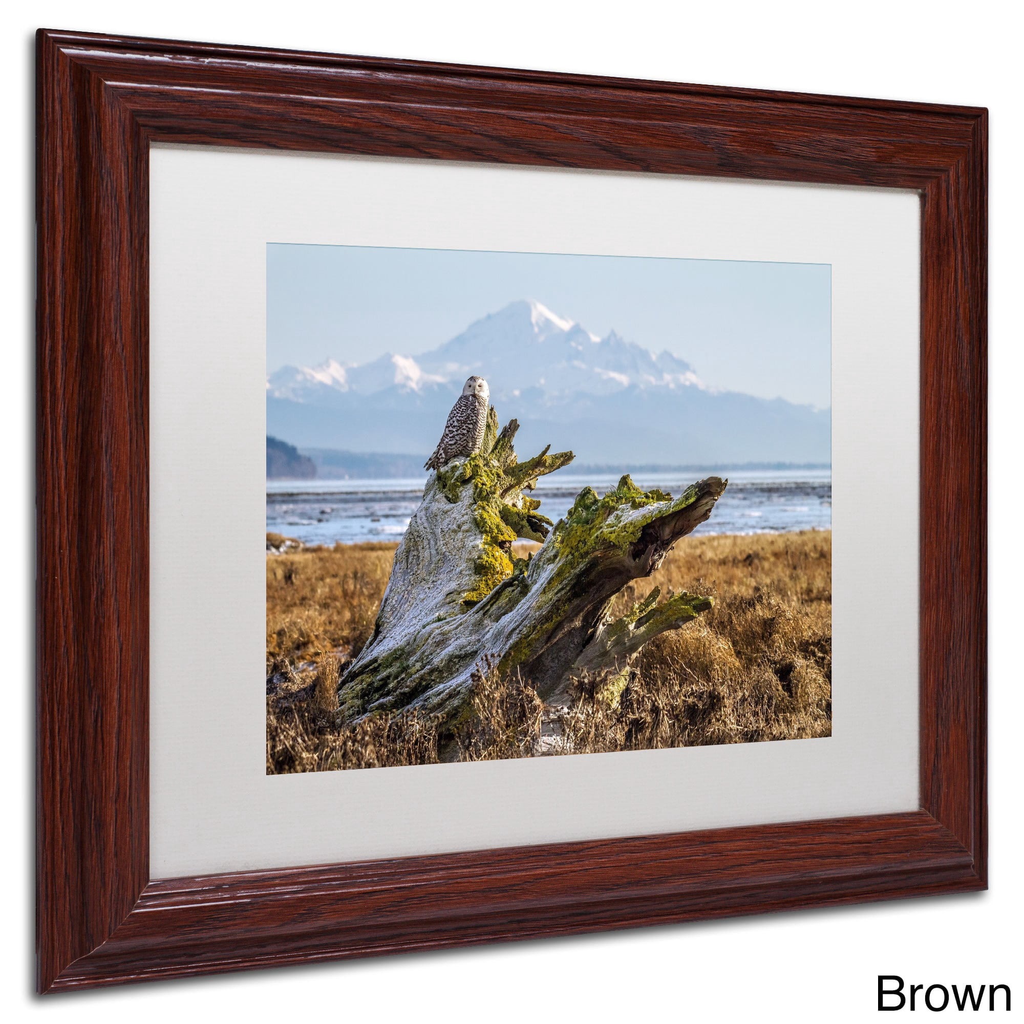 Trademark Fine Art "Snowy Owl" Canvas Art by Pierre Leclerc, White Matte/Black Frame
