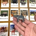 thumbnail image 3 of Montessori Animal Matching Card: Cognitive Kids Educational Toy For Language Learning - Zoo, Farm & Insects Christmas And Halloween Gift!, 3 of 5