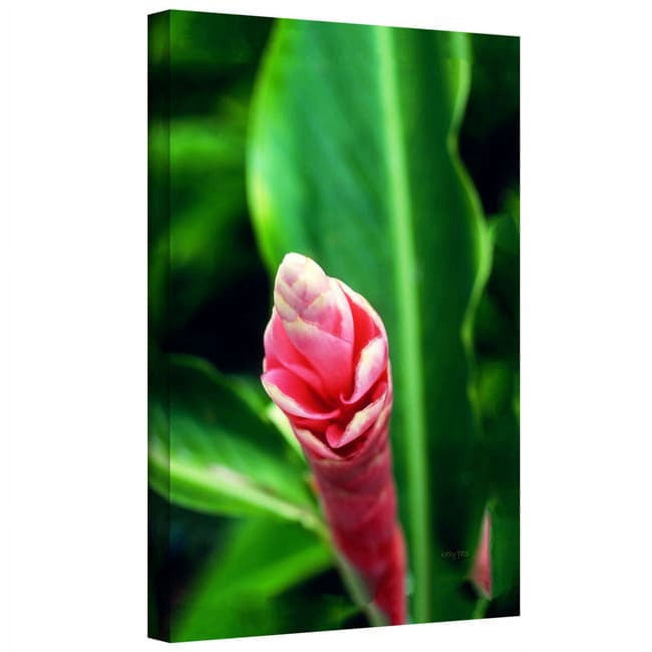 ArtWall Kathy Yates "Hawaiian Pink Ginger" Gallery-Wrapped Canvas