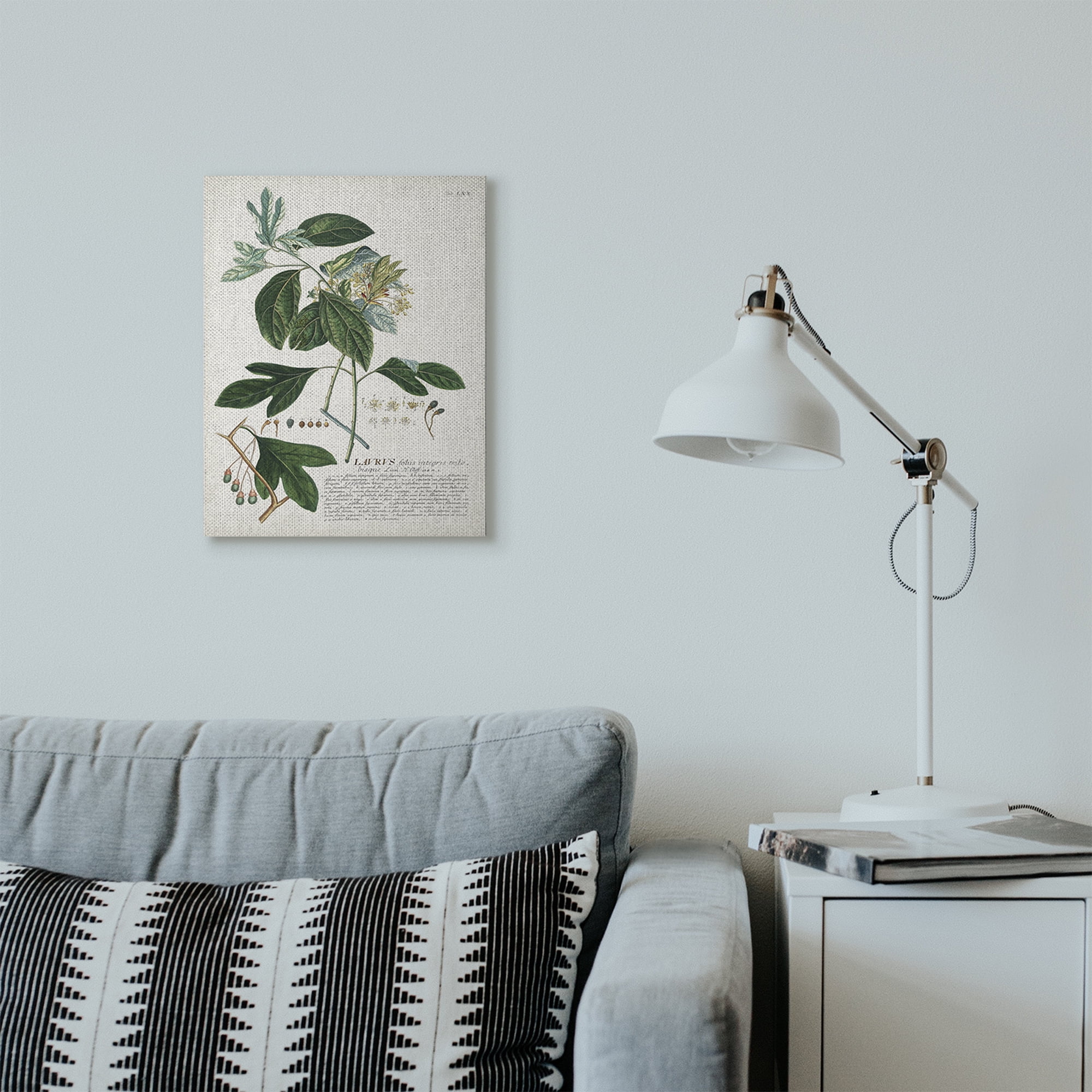 Stupell Industries Botanical Plant Illustration Green Leaves Vintage Design Canvas Wall Art by Unknown