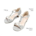 thumbnail image 5 of BURUDANI Girls Dress Sandals with Ankle Strap T-Strap Low Heel Pumps for Little & Big Kids, 5 of 6