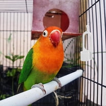 Masteelf Bird Food Holder Bird Feeder Toy Foraging Toy Bird Food Treat Skewer Plastic Parrot Fruit Vegetable Stick Holder With Bird Feeder Cup