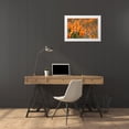 thumbnail image 3 of Jaynes Gallery 18x13 White Modern Wood Framed Museum Art Print Titled - California-Mojave Desert California poppies, 3 of 4