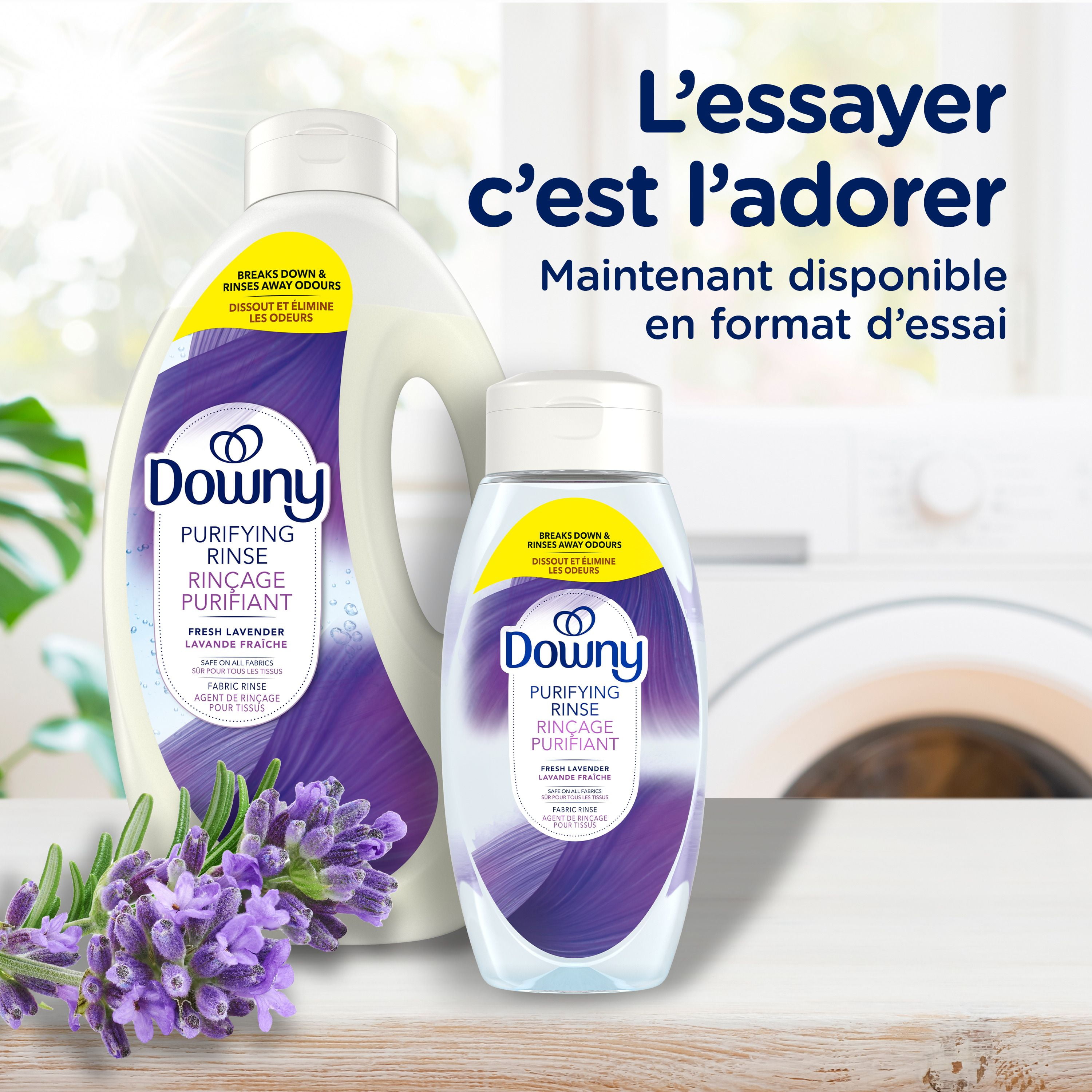 Agent de rinçage purifiant éliminateur d’odeurs pour lessive Downy, parfum Lavande fraîche, assouplissant textile et agent de rinçage éliminateur d’odeurs 1.8 L