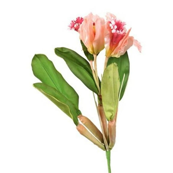 Distinctive Designs DS-9941-SO DIY Flower Sonia Cattleya Head - Pack of 12