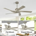 thumbnail image 3 of WINGBO  54 inch 5 ABS Blades DC Motor Indoor Ceiling Fan with Remote Control 54inch - Nickel and Wood Grain, 3 of 5