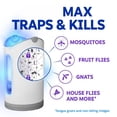 thumbnail image 4 of Indoor Light Fly Trap Starter Kit, Catches House Flies, Fruit Flies, Gnats & More - 1 Trap + 2 Refills, 4 of 9