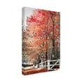 thumbnail image 2 of Trademark Fine Art 'Autumn Reds IV' Canvas Art by Beata Czyzowska Young, 2 of 3