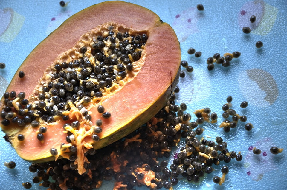 Fruit Paw Paw Pips Healthy20 Inch By 30 Inch Laminated Poster With