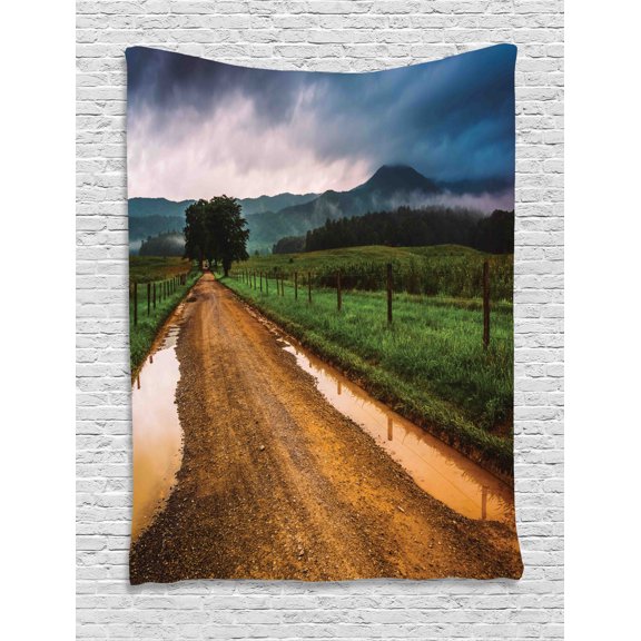 Appalachian Tapestry, Foggy Morning Photo Puddles on Dirt Road at Cade's Cove Great Smoky Mountains, Wall Hanging for Bedroom Living Room Dorm Decor, 60W X 80L Inches, Multicolor, by Ambesonne