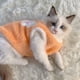 thumbnail image 3 of Bonita ropa de otoño e invierno para gatos, chaleco grueso y cálido para perros, ropa antipelo para mascotas, perros pequeños, 3 of 6