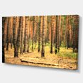 thumbnail image 2 of Belle Forêt de Pins au Coucher du Soleil - Art Moderne sur Toile, 2 of 3
