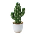 thumbnail image 1 of Planta en maceta artificial de la simulación artificial de los bonsais del cactus de la simulación de la planta tropical, 1 of 5