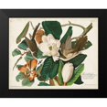 thumbnail image 2 of Audubon, John James 18x15 Black Modern Framed Museum Art Print Titled - Pl 32 Black-billed Cuckoo, 2 of 5