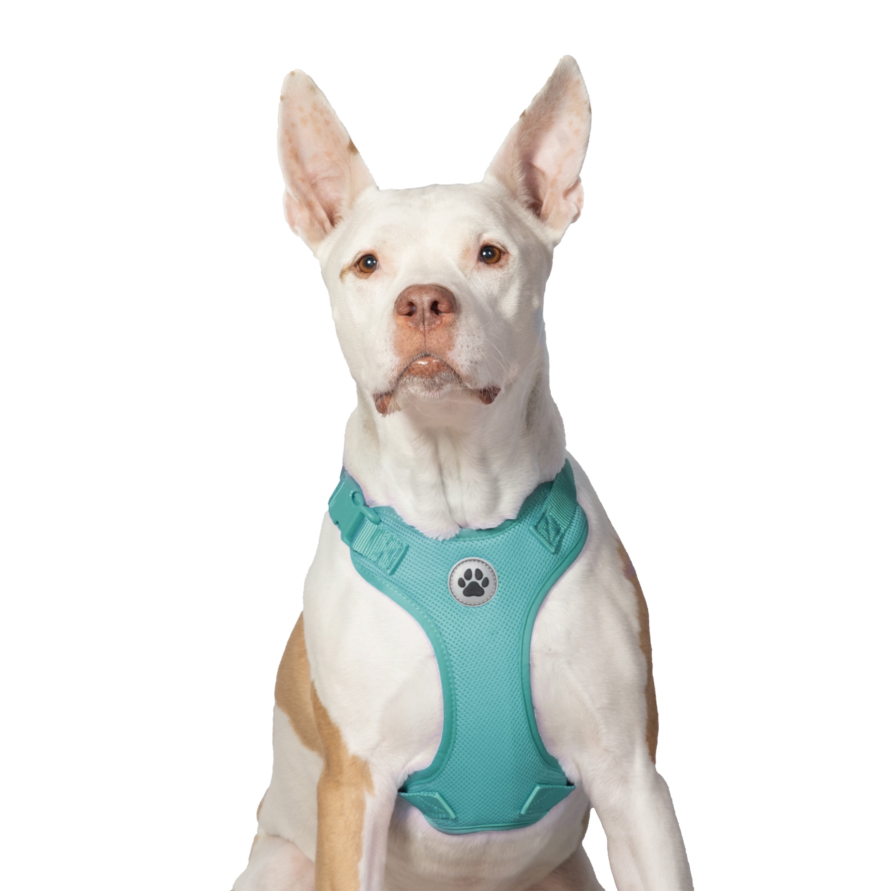 Vibrant Life Polyester Mesh Adjustable and Reflective Dog Walking Harness, Turquoise, L