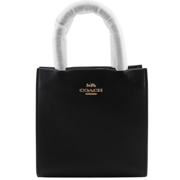 Pre-Owned Coach Mini Carry Handbag 2-Way Shoulder Bag 5692 Leather Black Magnetic Closure...