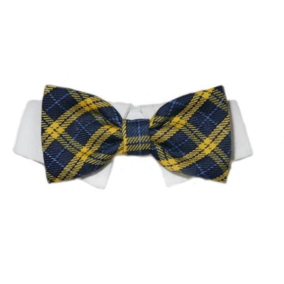 Pooch Outfitters PBRB-XL Bruce Bow Tie, Blue - Extra Large