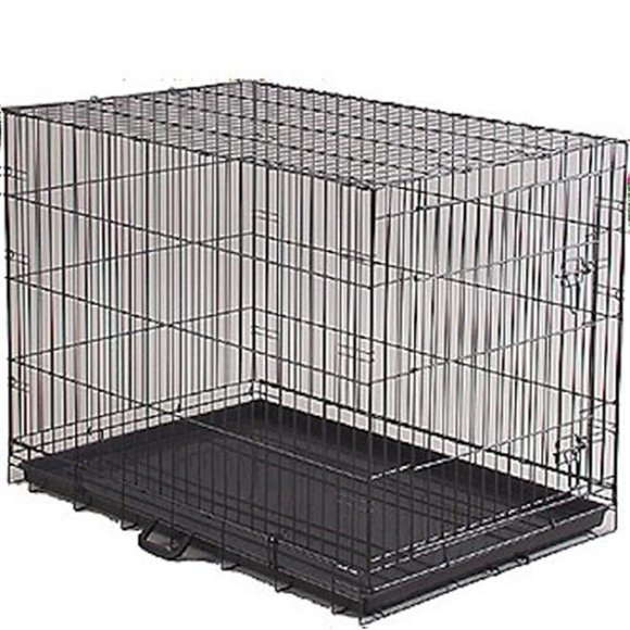 Caisse Économique pour Chien - Grande