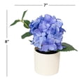 thumbnail image 4 of Mainstays 8" Artificial Blue Hydrangea in Cream Pot, for Indoor Use, 4 of 8