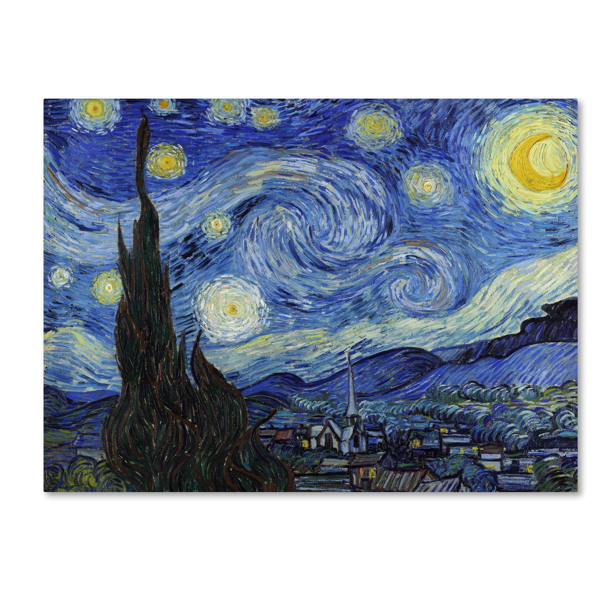 White Rose Vincent Van Gogh HD Canvas Art Print Oil Painting Multi Sizes 