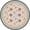 Blue4, variant on Vintage Light Blue Floral Round Tablecloth,Waterproof Stain Resistant Table Cover for Indoor Outdoor Kitchen Dining Room Party Decor,60 Inch