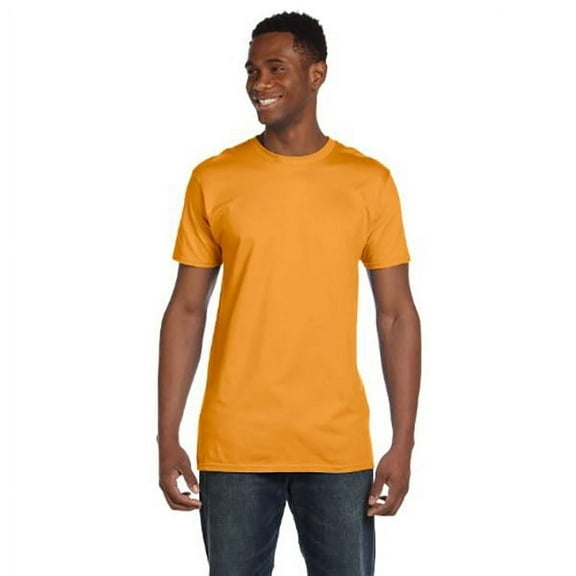 Hanes Men's Nano Premium Cotton T-Shirt - 4980 (Pack Of 2)