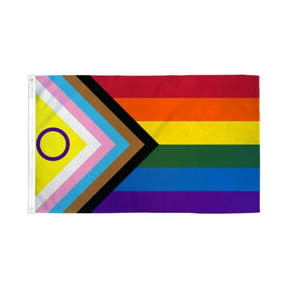Inclusive Progress Pride Flag 3x5ft Poly