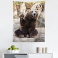 thumbnail image 1 of Bear Tapestry, Friendly Animal Sitting and Waving a Paw in the Zoo Funny Wild Mammal Gesture, Fabric Wall Hanging Decor for Bedroom Living Room Dorm, 5 Sizes, Brown Beige, by Ambesonne, 1 of 1