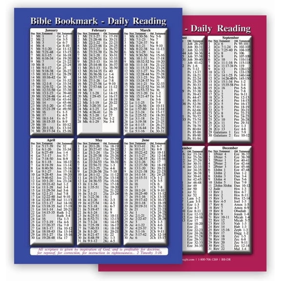 Daily Bible Reading Schedule for Year - Set of 25 Bible Reference Cards (5.5"x8.5")