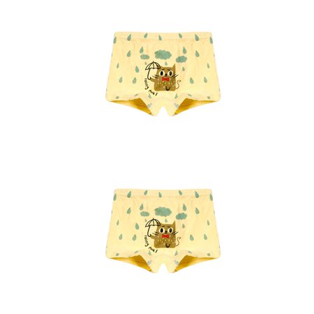 

2pcs 2pcs Toddler Boys Water Drop Print Boxers Animal Underwear Cartoon Underpants Panties Knickers Set