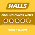 thumbnail image 5 of HALLS Relief Honey Lemon Flavor Cough Drops, 1 Bag - 3 On-the-Go Packs Per Bag (24 Drops Total), 5 of 7