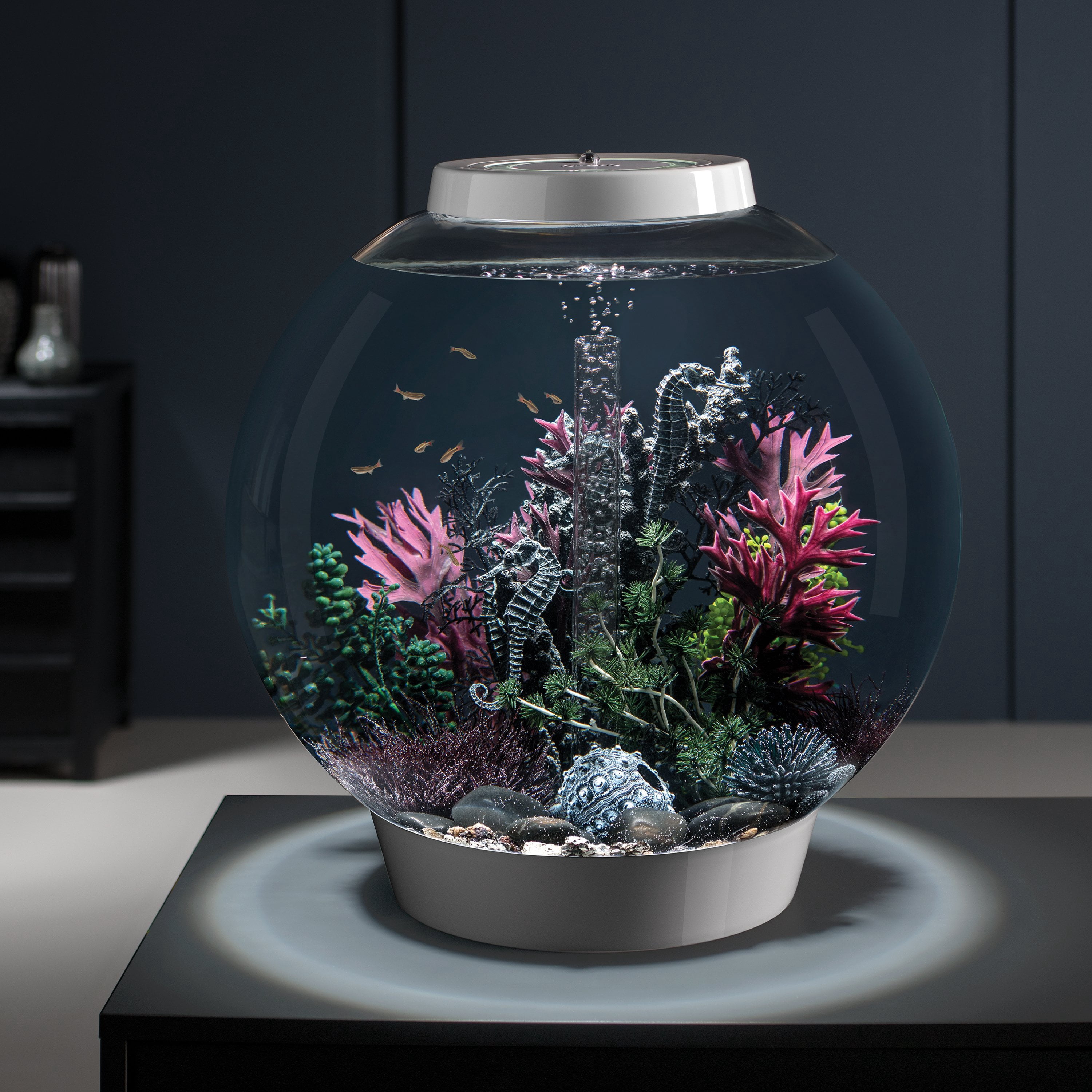 biOrb Charcoal Sea Urchins Set - Aquarium Decor