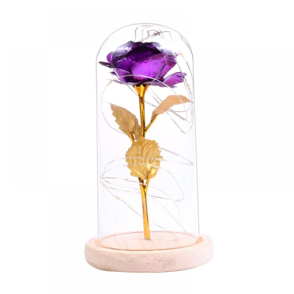 Vieshful Exquisite Rose in Glass Dome Colorful Gold Eternal Rose with LED Light,Artificial Flower Last Forever Valentine's Day Birthday Mothers Day Wedding for Her