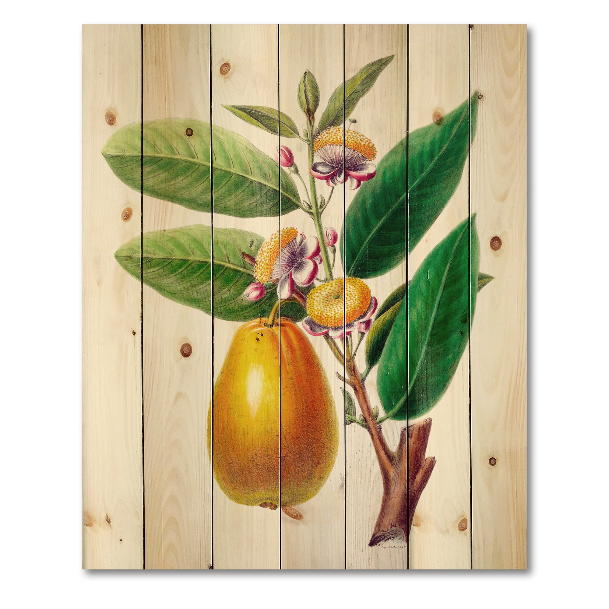 Designart 'Ancient Fruits I' Farmhouse Print on Natural Pine Wood