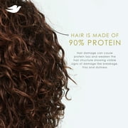 Dove Damage Therapy Derma Anti-Dandruff Shampoo for Flaky Scalp Dryness + Itch with Pyrithione Zinc & Coconut Oil, 12 oz
