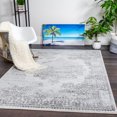 thumbnail image 1 of Soft Grey Off White Vintage Floral Design Area Rug, Faded Light Blue Traditional Living Room Carpet, 1 of 8
