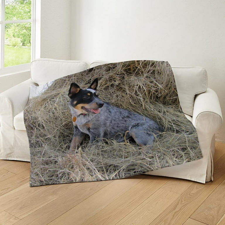 CafePress Australian Blue Heeler Pup Throw Blanket Soft Fleece Throw Blanket 50