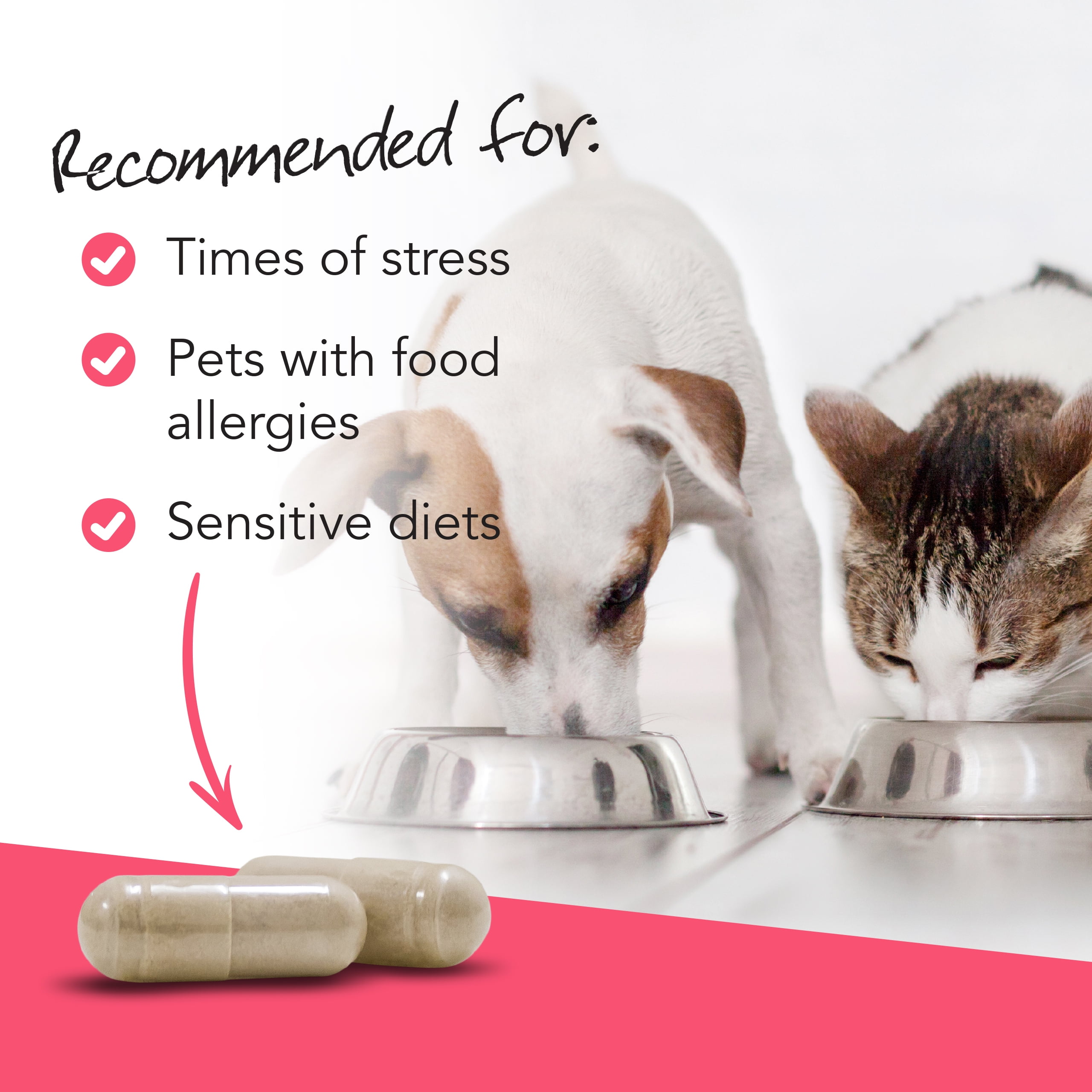 VetriScience Extra Strength Gut Health, Digestive Relief for Dogs & Cats, 180 Capsules