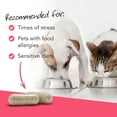 thumbnail image 5 of VetriScience Extra Strength Gut Health, Digestive Relief for Dogs & Cats, 180 Capsules, 5 of 10