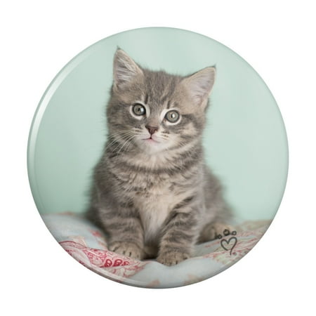 

Manx Cat Kitten Bed Sitting Kitchen Refrigerator Locker Button Magnet
