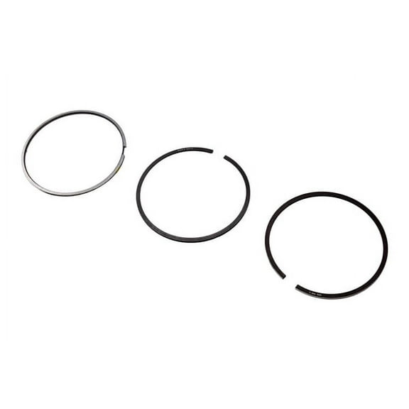 Engine Piston Ring Kit
