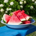 thumbnail image 3 of Purely Organic Crimson Sweet Watermelon Seeds - USDA Organic, Non-GMO, Open Pollinated, Heirloom, USA Origin, Fruit Seeds, Annual, Prefers Full Sun, 3 of 6