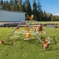 thumbnail image 4 of Petsfit Chicken Roosting Ladder with Swing, Solid Wood & Iron, Easy to Assemble & Clean, 4 of 8