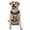 With Accessories, variant on Vsdgher Horse Sunflowers Pattern Dog Harness,No Pull Pet Harness with Soft Padded Handle,Adjustable Reflective Vest with 2 Buckles,4 Slide Buckles,S-XL X-Large