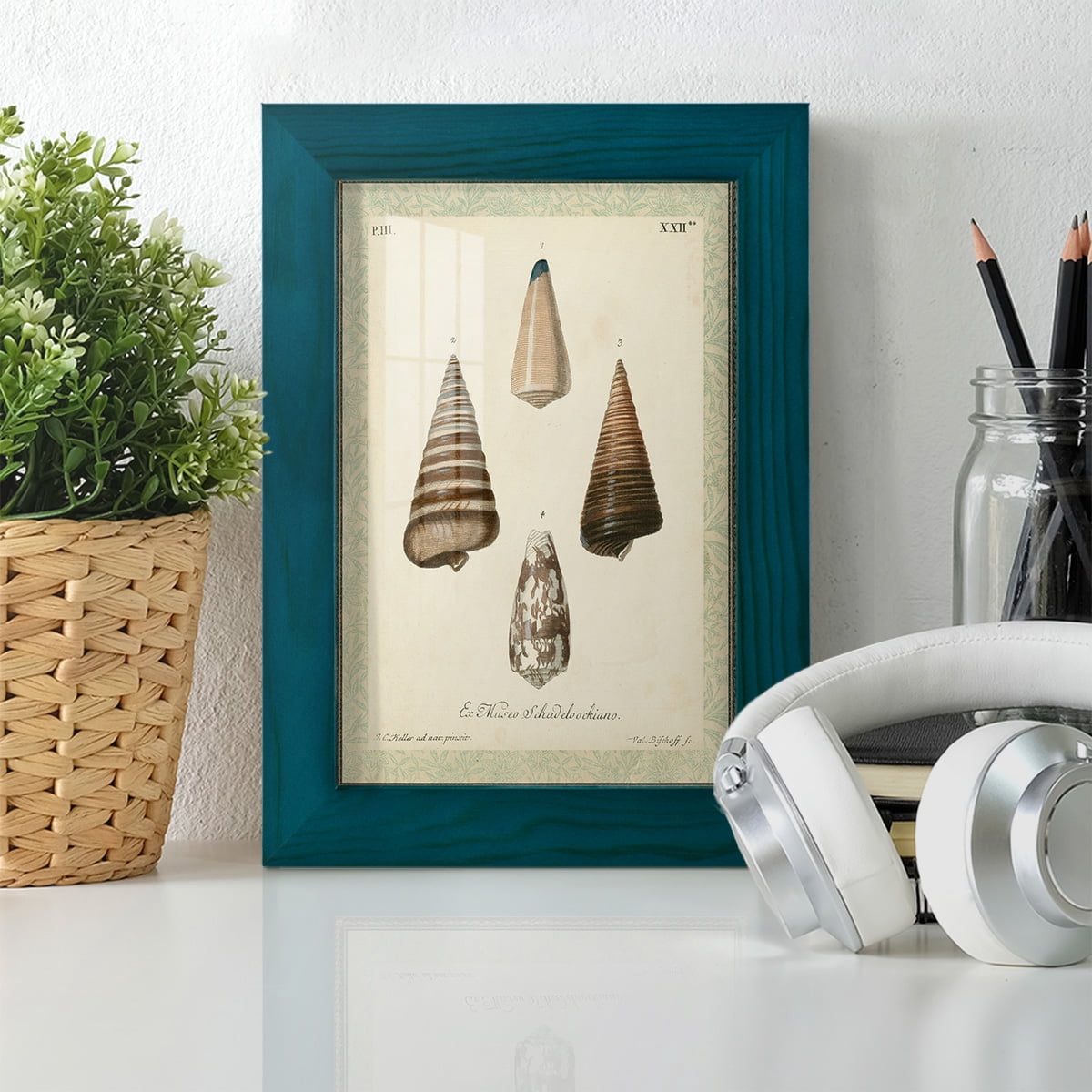 Bookplate Shells VI - Framed Print w/glass - Ocean Blue