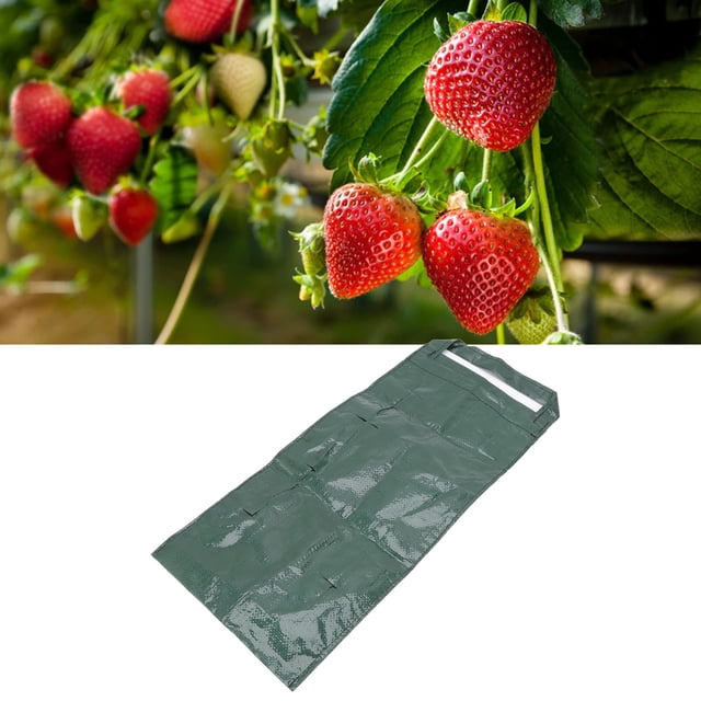 Hanging Planting Bag, Multipurpose Space Saving Plant Grow Pouch For Strawberry For Vegetable 8 Holes,10 Holes