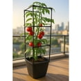 thumbnail image 5 of (2 pack) Harvest Bloom Garden Planter with Self-Watering System and Adjustable Trellis for Your Outdoor Balcony, Patio, or Backyard Garden by NuVue Products, 5 of 8
