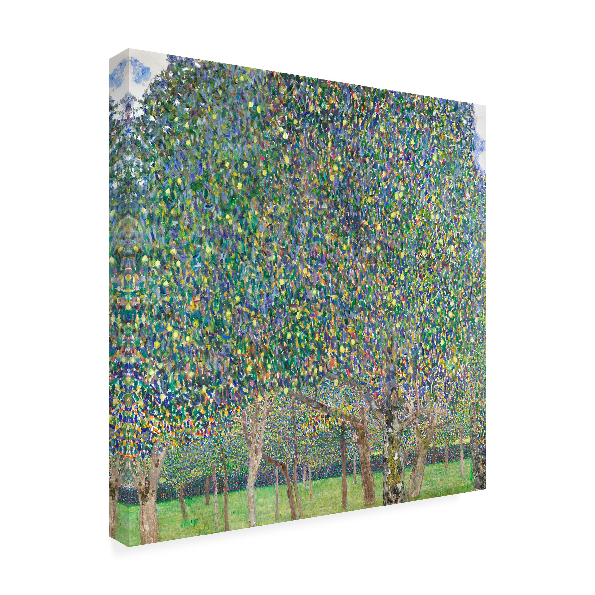 Pictufy 'Pear Tree 1903' Canvas Art